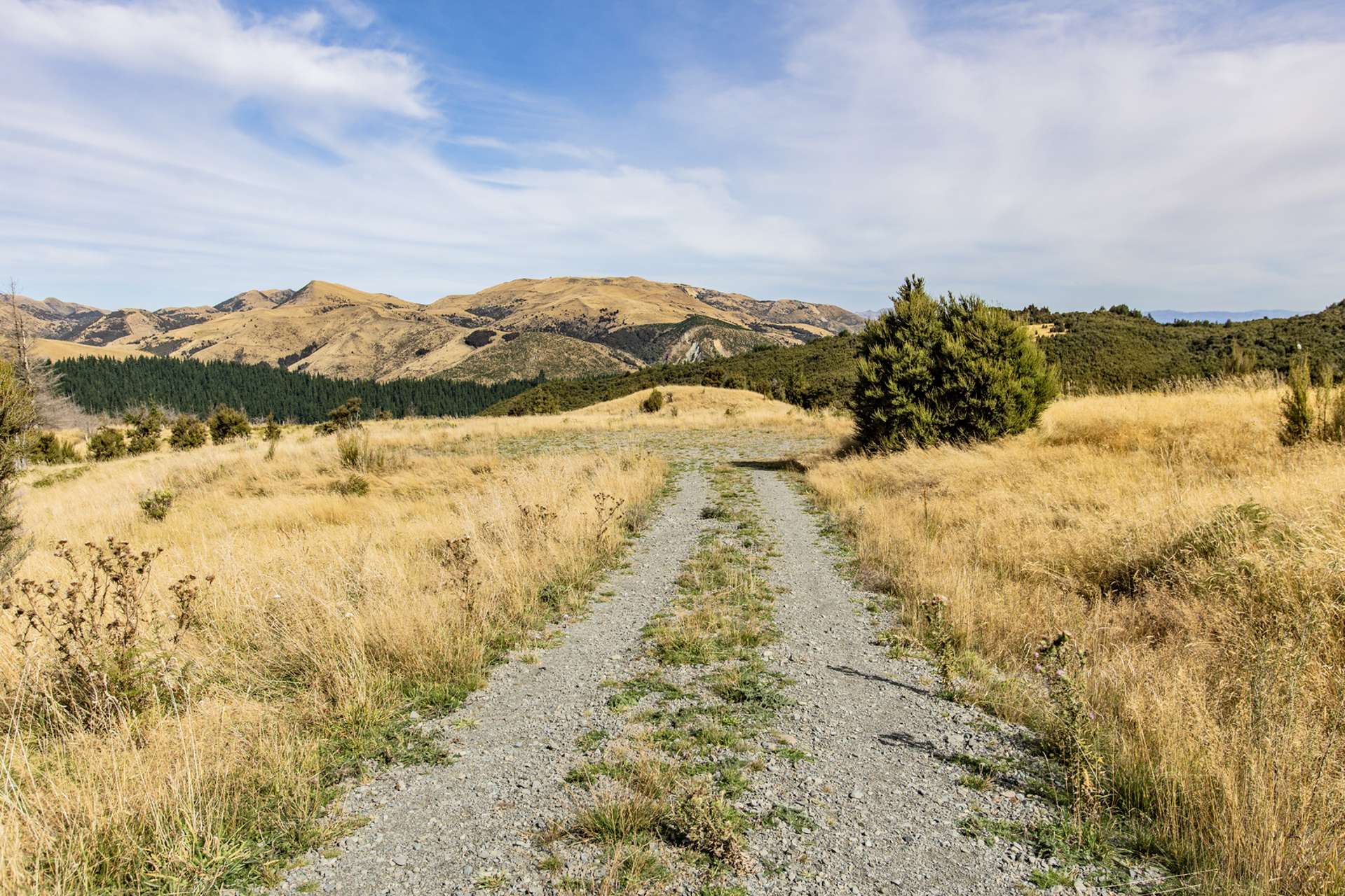 253 Mt Lyford Forest Drive Lyford_0