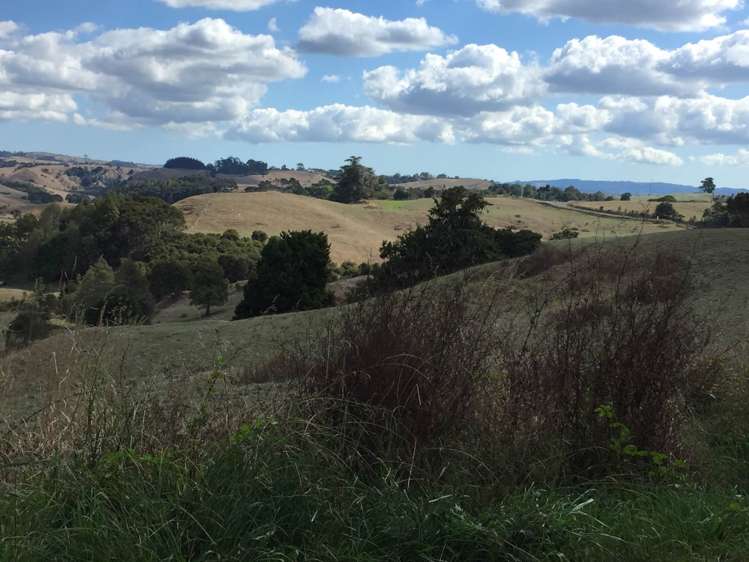 1798 Chapman Road Pukekawa_5