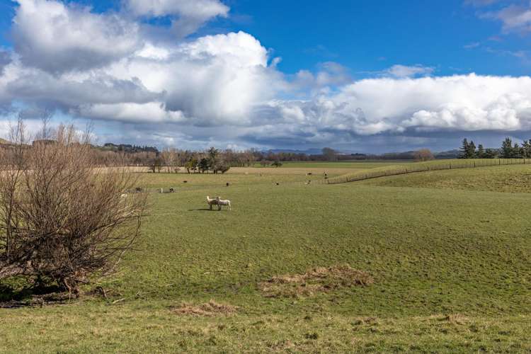 222 Tapairu Road Waipawa_14