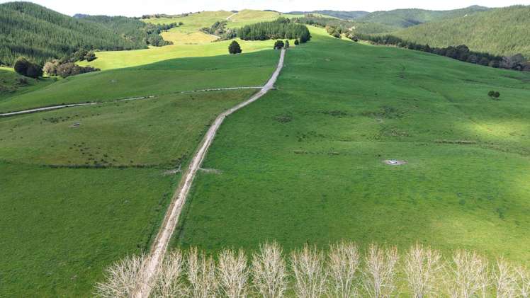 337 Mill Road Kawakawa_22