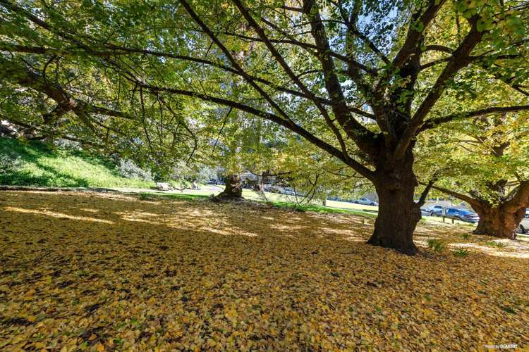 54/66 Emily Place Auckland Central_3