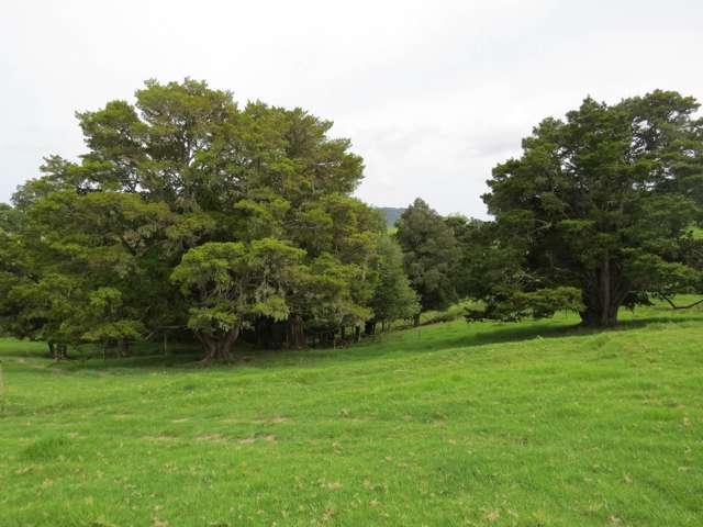 Lot 4 Taylor Road Taipa_4