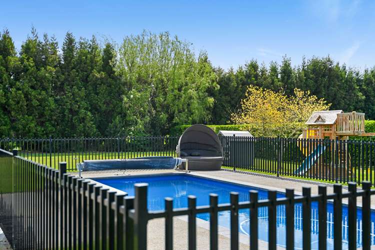 43 Oaktree Lane Flagstaff_11