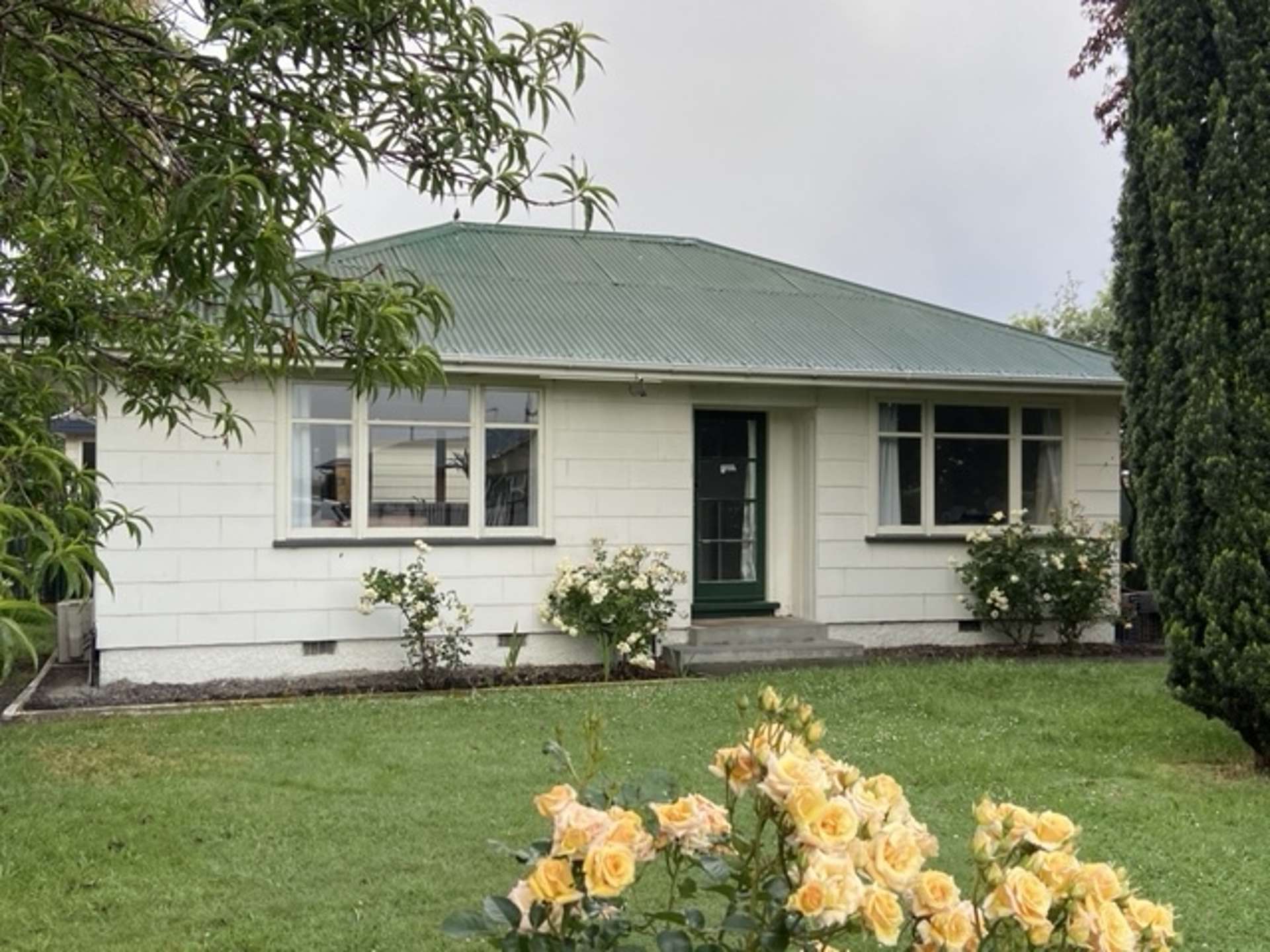 94 Princes Street Netherby_0