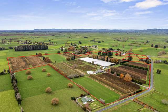 Proven Berry Operation for Sale – Berryfresh