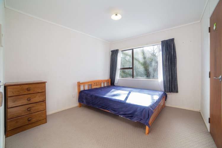 18 Palm Court Drive Glen Eden_12