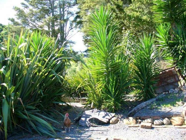 150 Jordan Valley Road Hikurangi_14