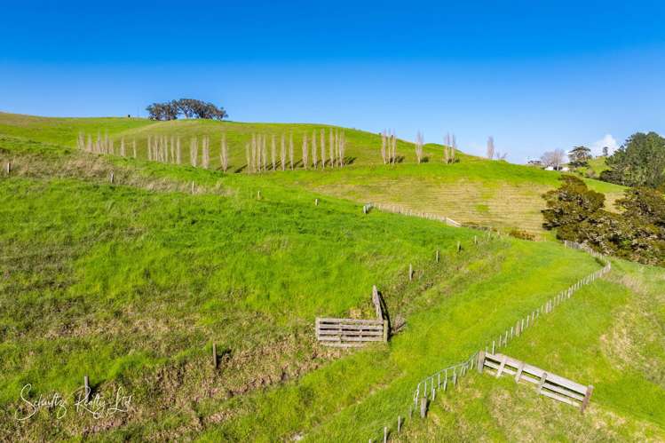 Massey Road Maungaturoto_23