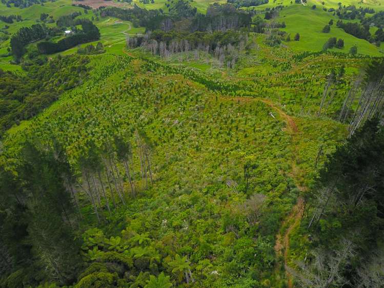 Lot 0 Te Rore Road Kaitaia_16