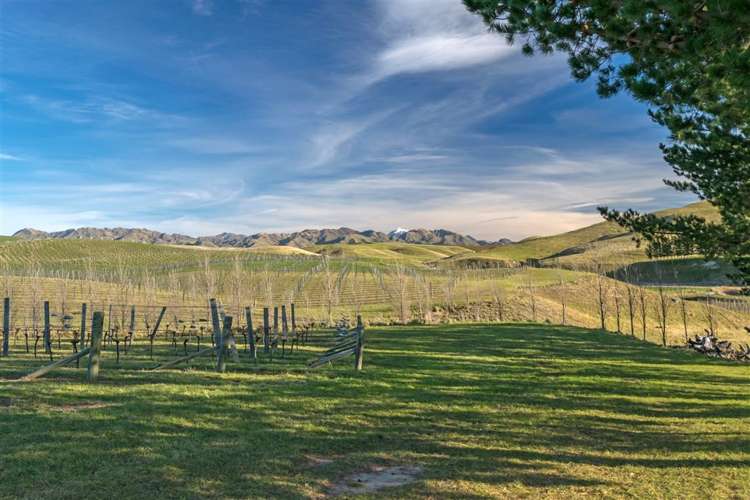 5468 State Highway 1 Seddon_20