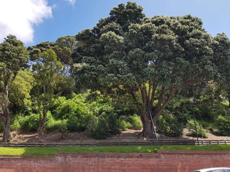 39 Tasman Street Mount Cook_9