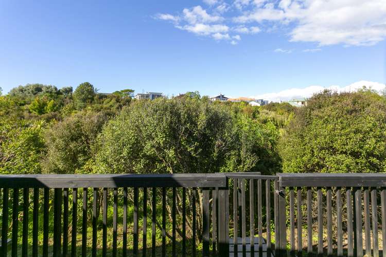 34 Penny Grove Nukuhau_13