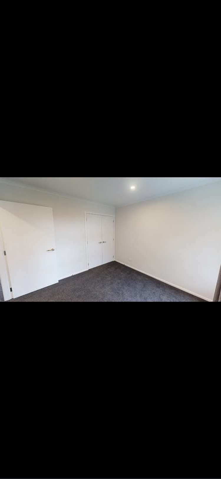 12a Potaka Street Marton_6