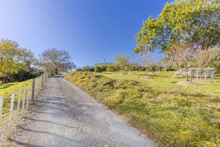 1439 Te Kawa Road Otorohanga_33