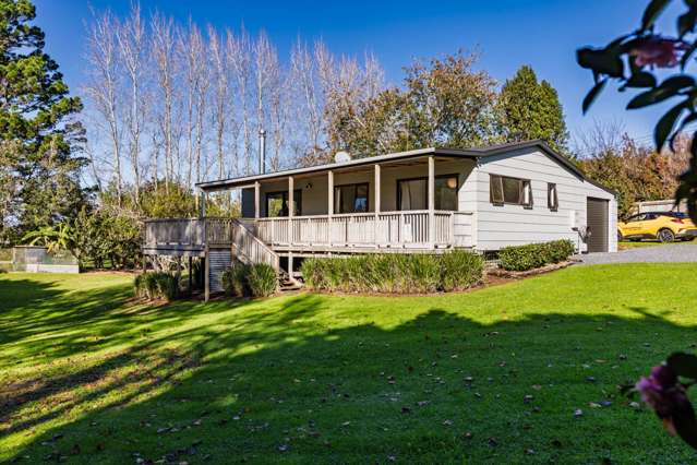 Freshly Renovated With Room To Roam