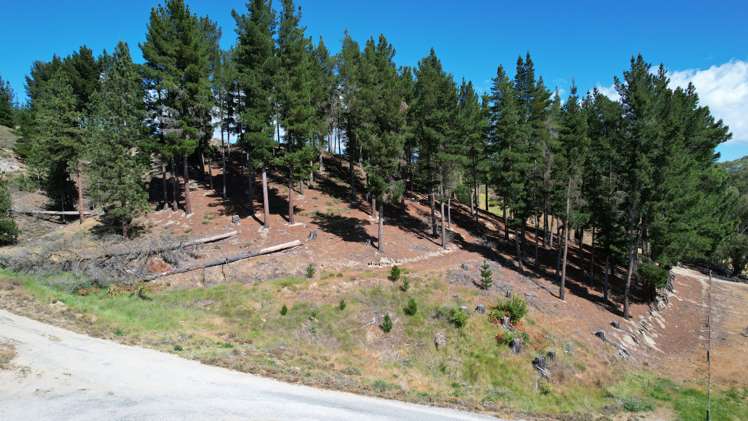 Lot 2, Letts Gully Road Letts Gully_2