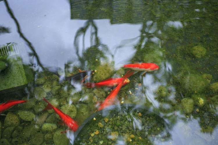 22 Black Teal Close Unsworth Heights_7