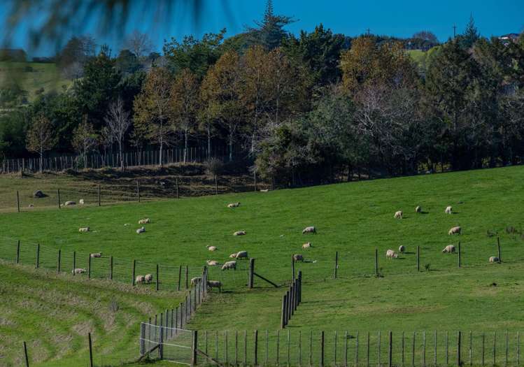 81A Pukekohe East Road Pukekohe_3