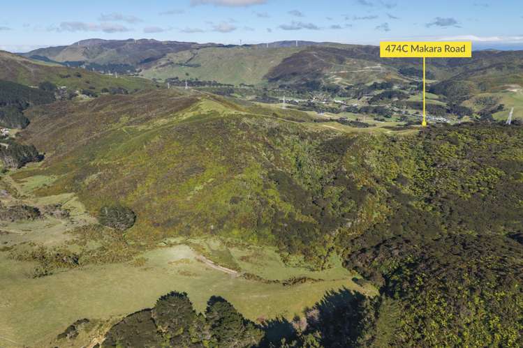 474C Makara Road Makara_8