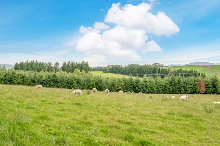 453 Wilden School Road West Otago Surrounds_4