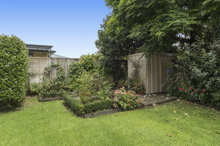 13 Coleman Place Katikati_21