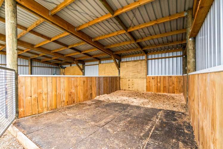 175A Stanners Road Kerikeri_13