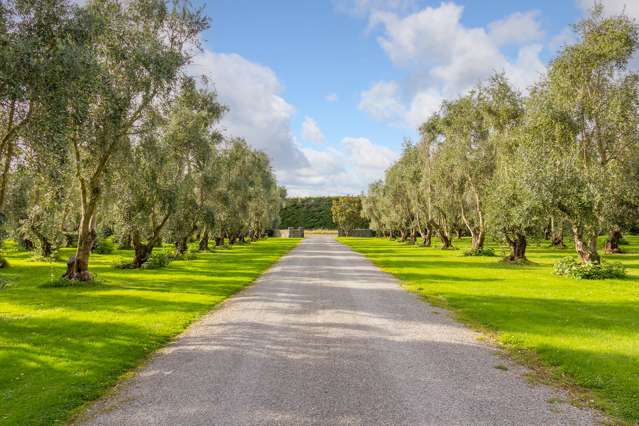 136 Hinekura Road Martinborough_4