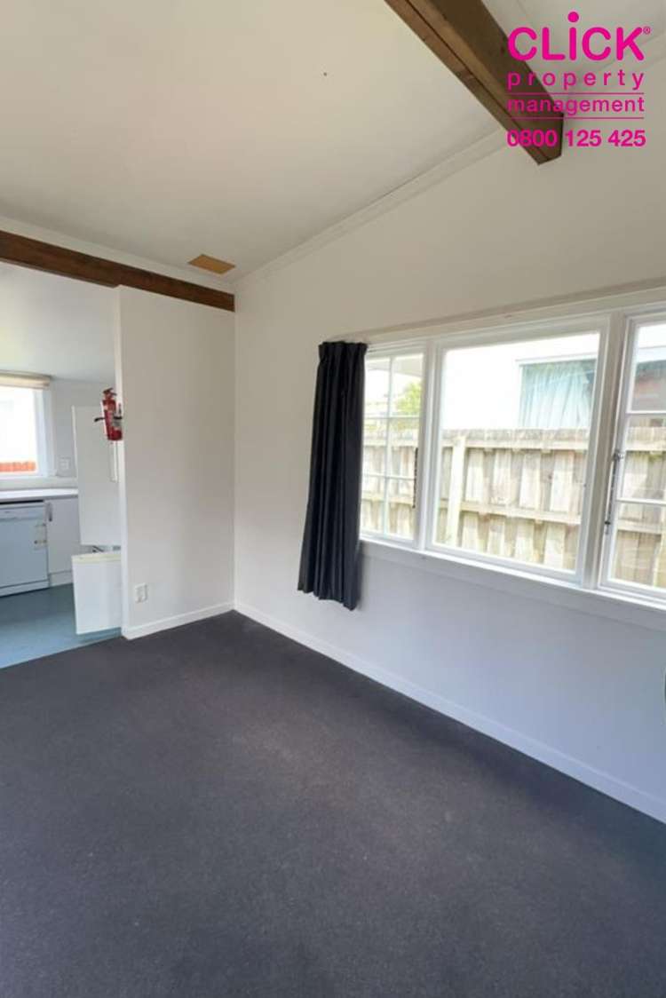 117 Clyde Street North Dunedin_11
