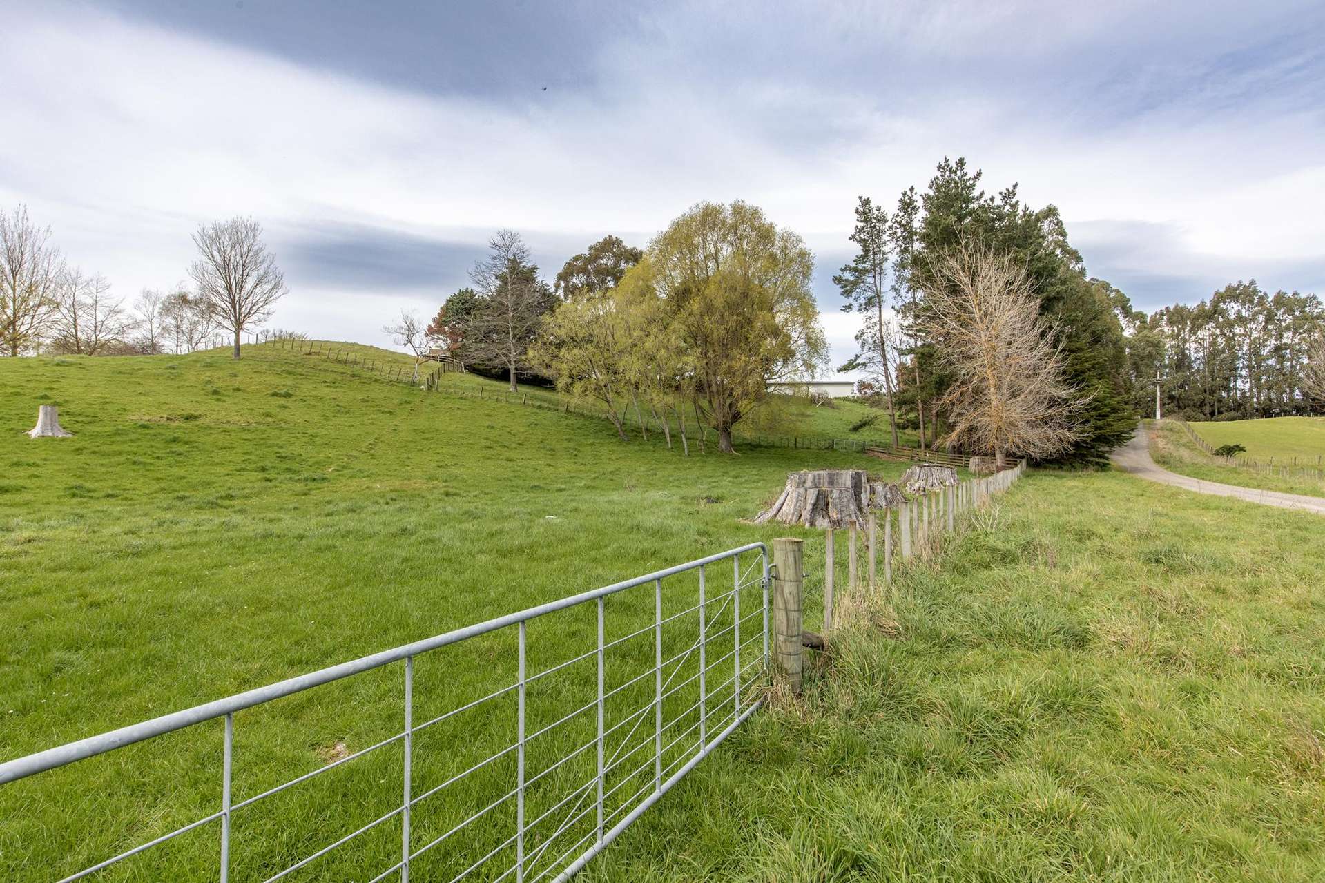 134c Tipapakuku Road Dannevirke_0