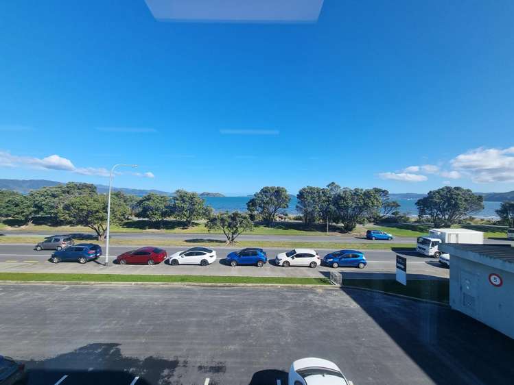 81 The Esplanade Petone_1