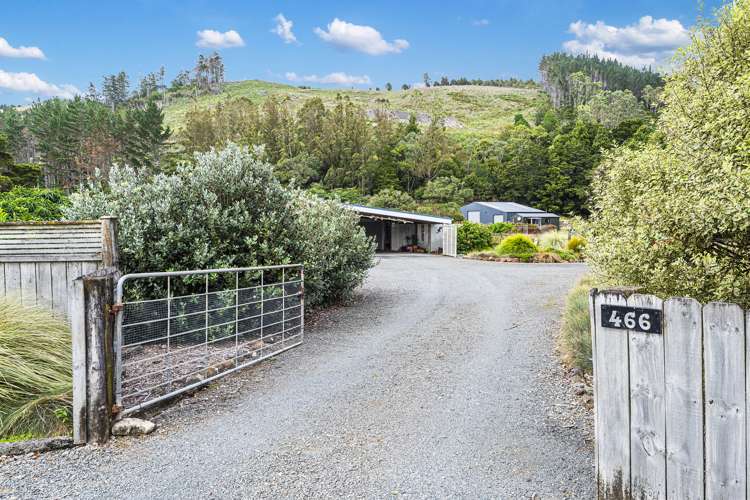 466 Crane Road Kauri_14