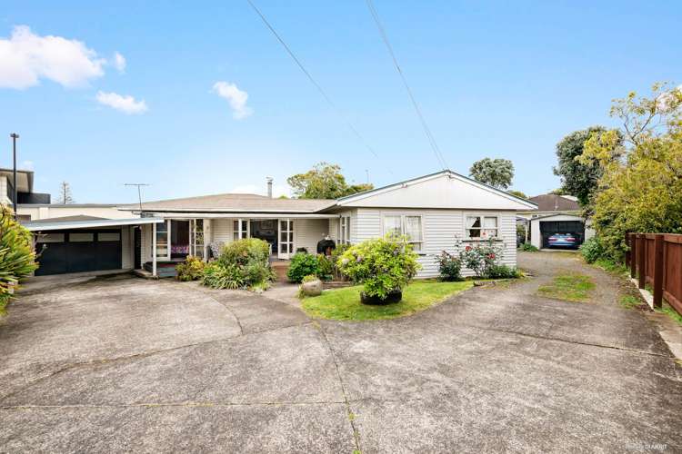 20a Halver Road Hillpark_1