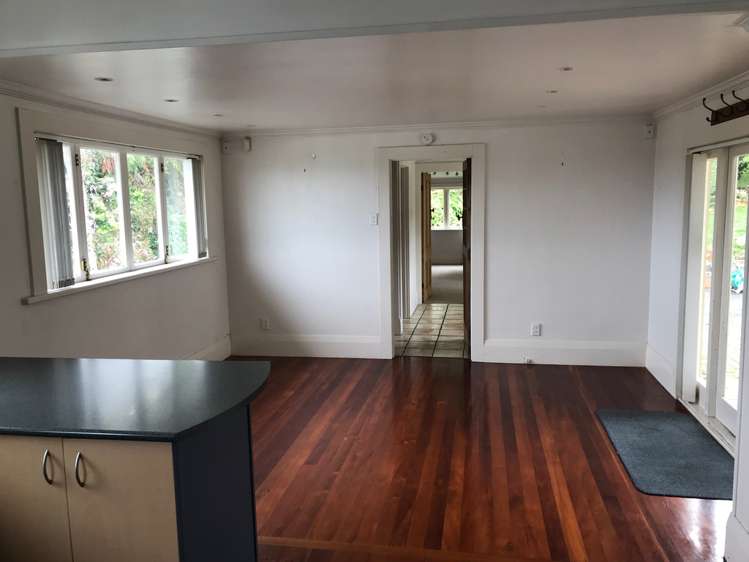 41 Kauika Road West Avenues_4