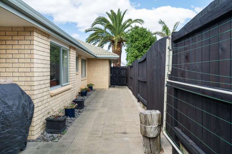 20 Francevic Avenue Mount Maunganui_27