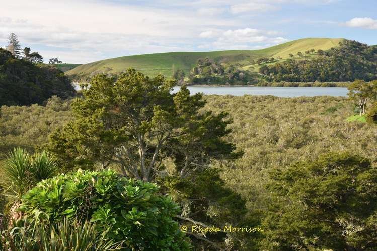 8 Heaths Way Paparoa_57