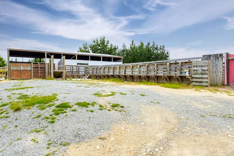 Mcintosh Road Geraldine_7