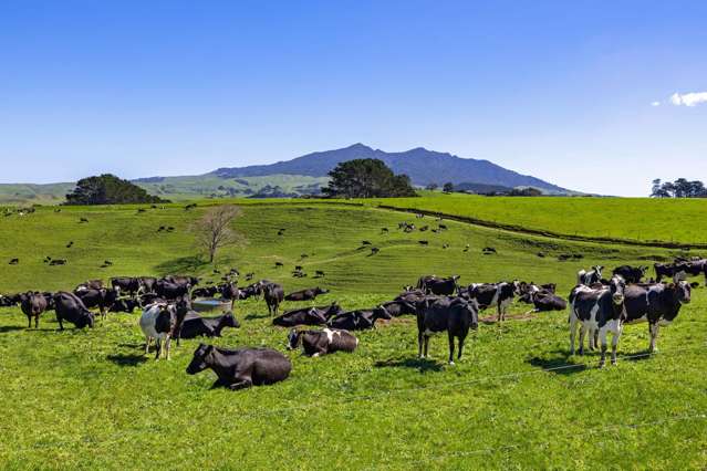 44 Te Papatapu Road Raglan_3