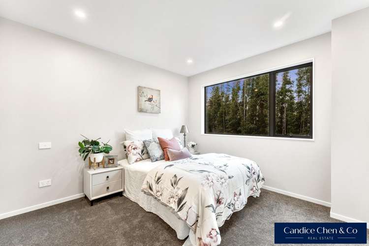 17 Don Oliver Lane Glen Eden_7