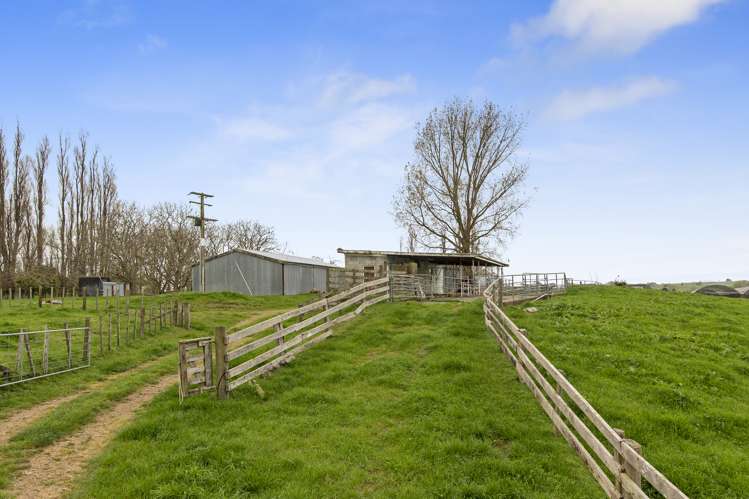 1/187 Parklands Road Rotoorangi_1