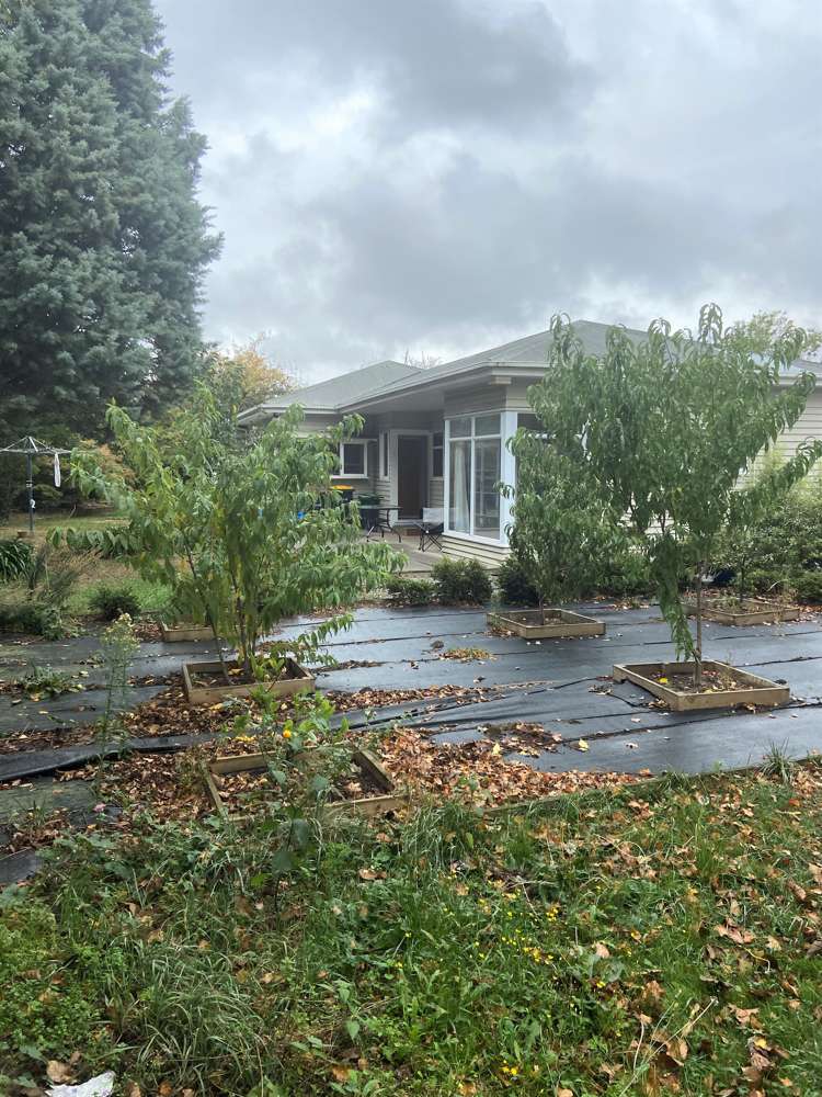 9 Gibson Drive Hornby_5