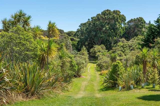 Paradise of the Pacific