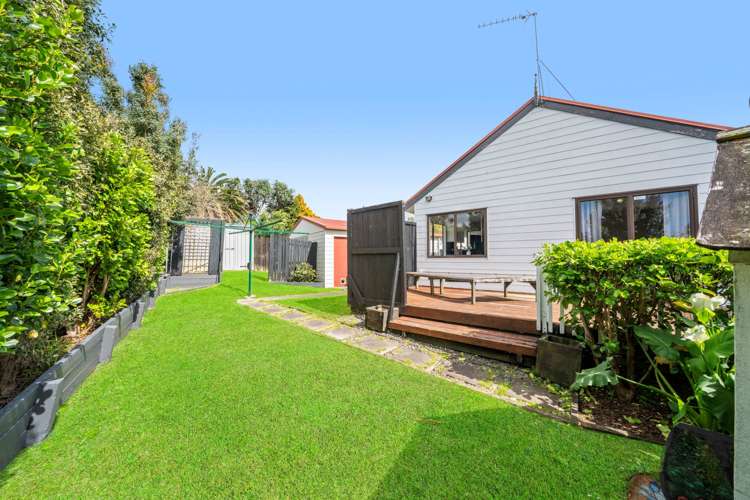 15 Hassan Drive Massey_14