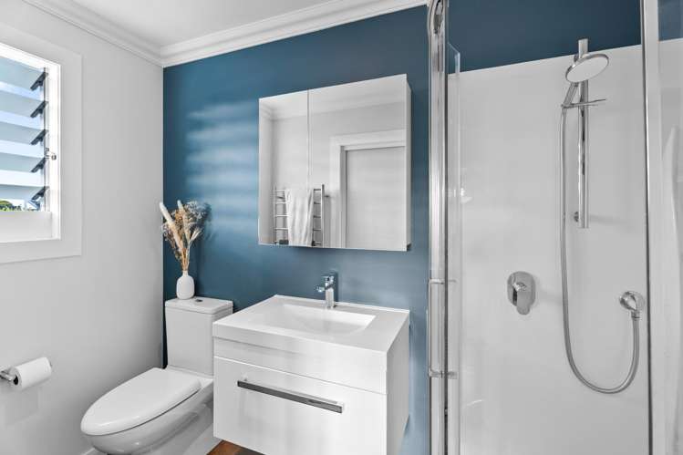 3 Arundel Street Hillsborough_7