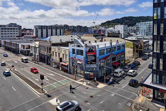 Level 1/104 Vivian Street Te Aro_1