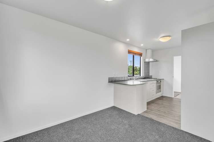 2 Ropley Street Amberley_6