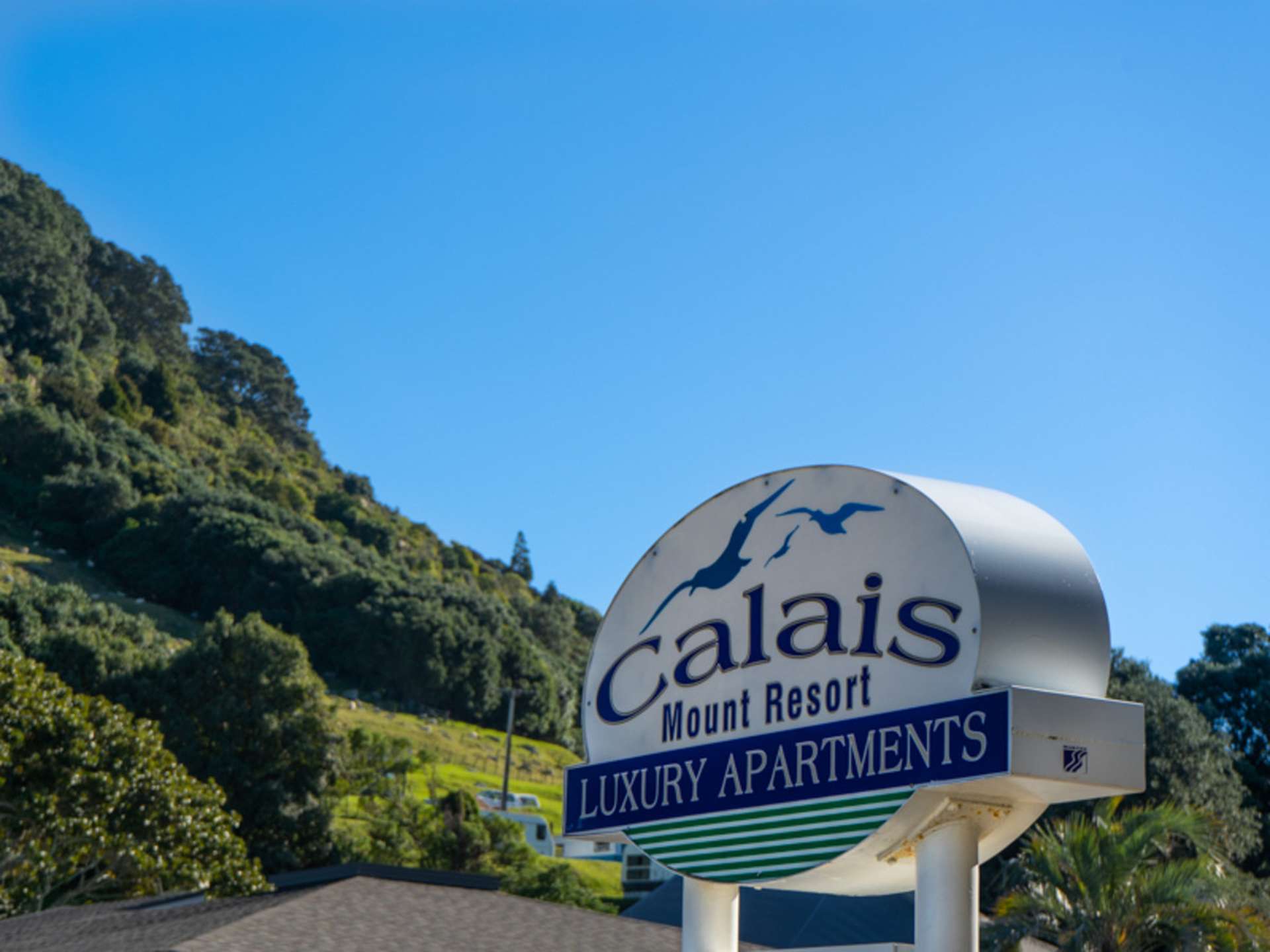 306/6 Adams Avenue Mount Maunganui_0