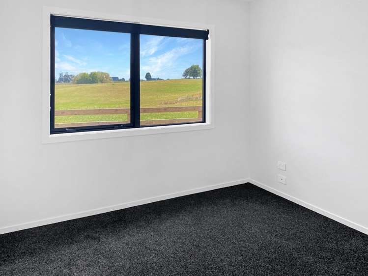 264 Korimako Drive 11385_17