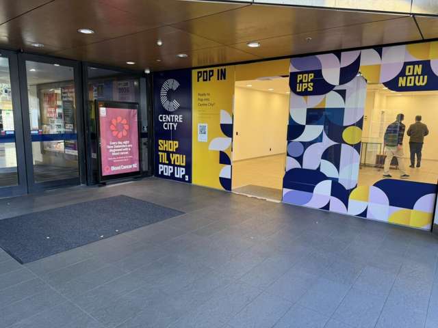 11 Gill Street New Plymouth_1