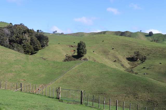 259 Elgood Road Ngaruawahia_2