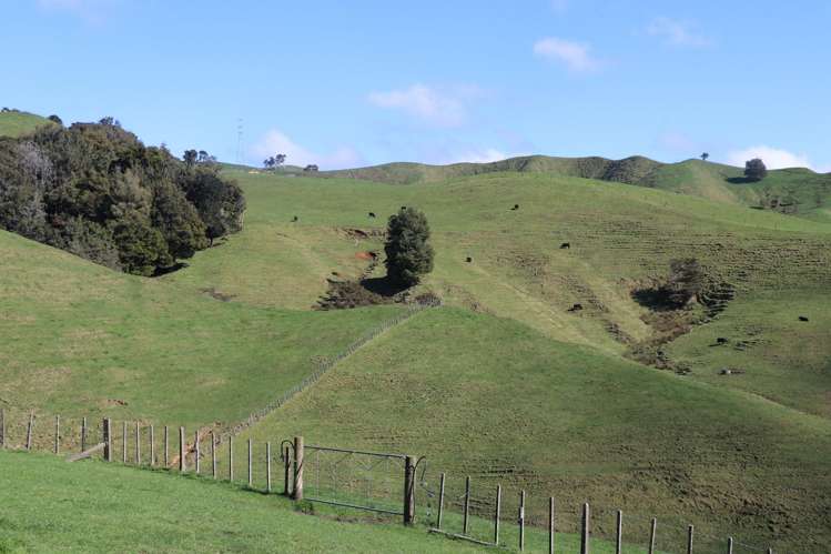 259 Elgood Road Ngaruawahia_2